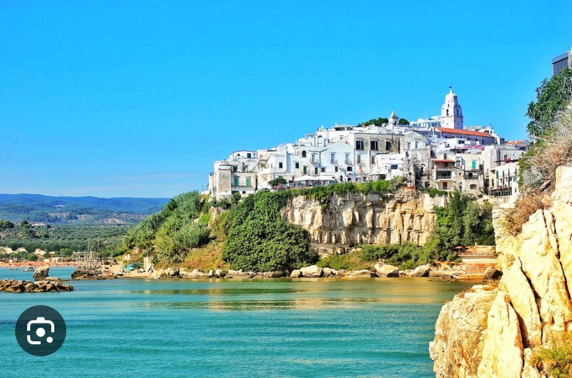 B&B Tra Le Vie Del Borgo Vieste Zewnętrze zdjęcie